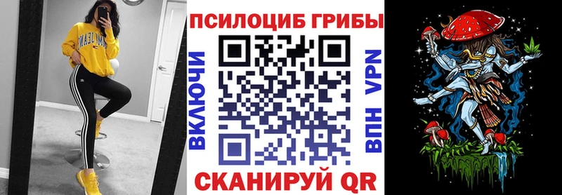 Галлюциногенные грибы мицелий  Апшеронск 